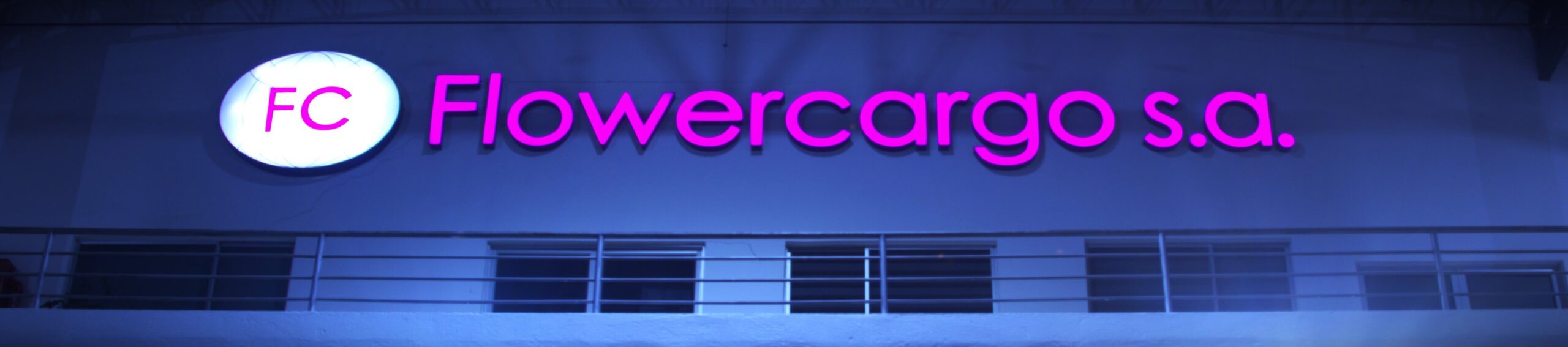 main_view_flowercargo